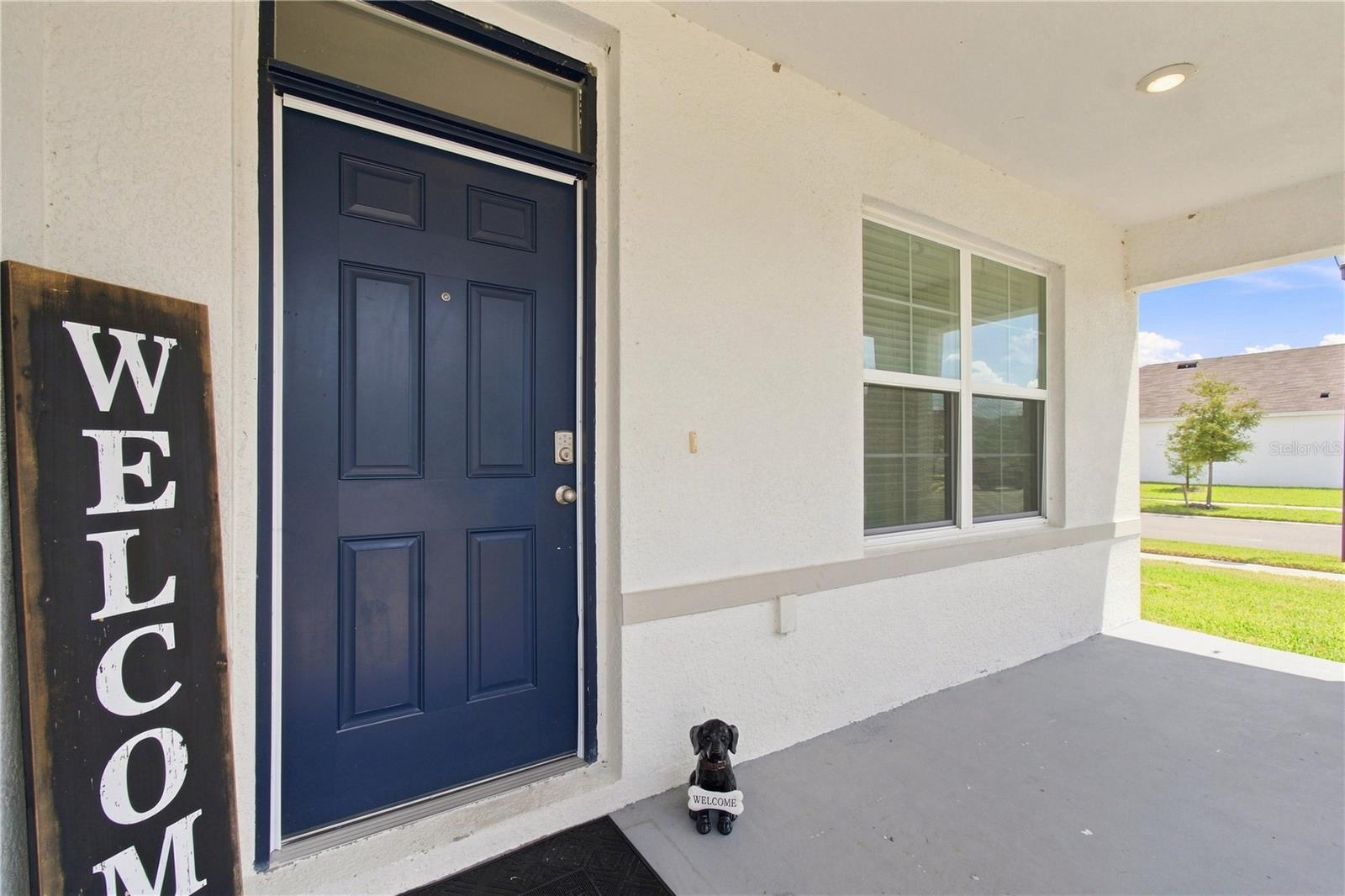 33635 Hamilton Hill, Wesley Chapel, FL 33545