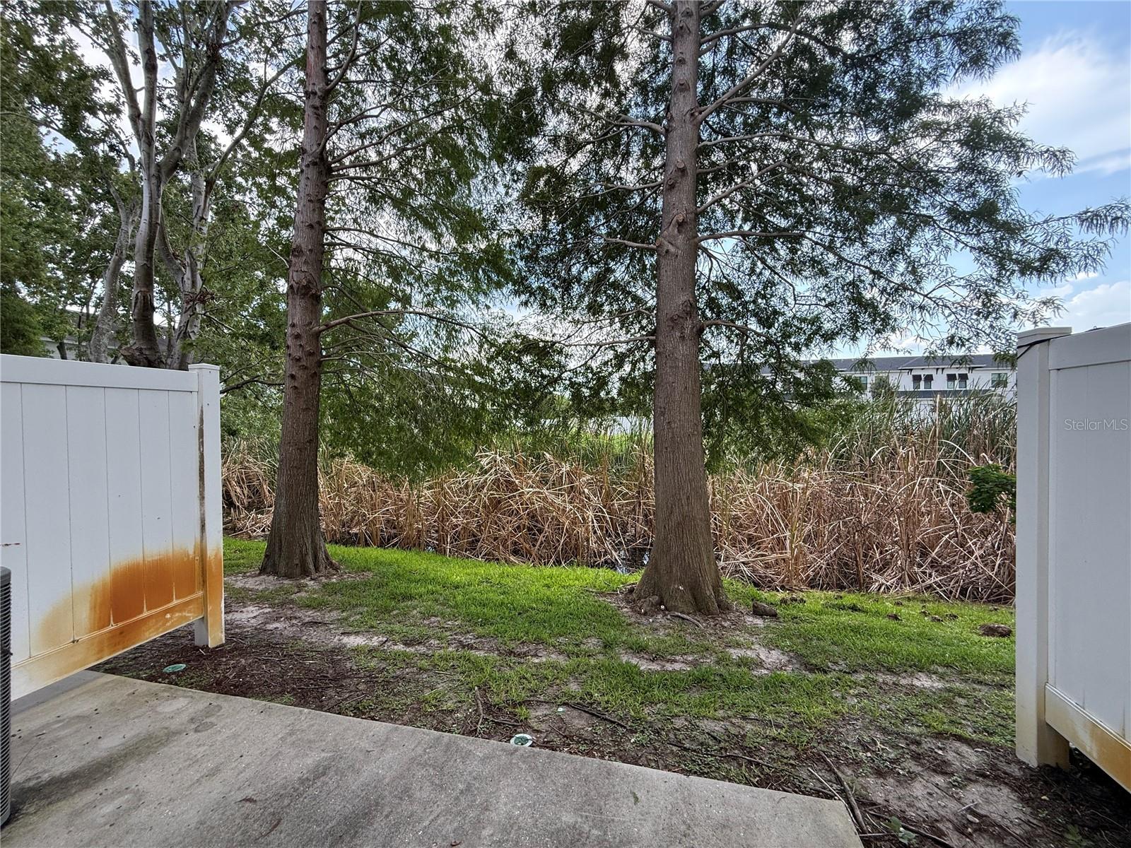 4951 White Sanderling, Tampa, FL 33619
