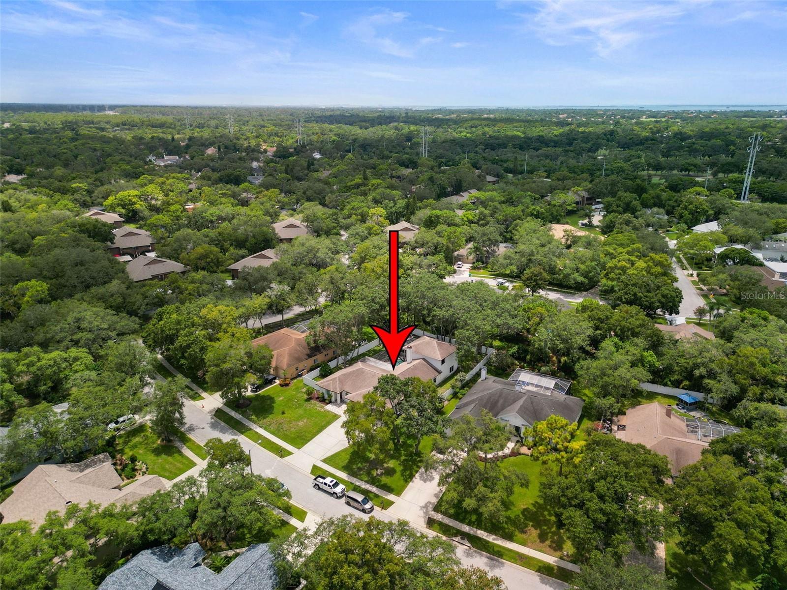 4448 Glenbrook, Palm Harbor, FL 34683