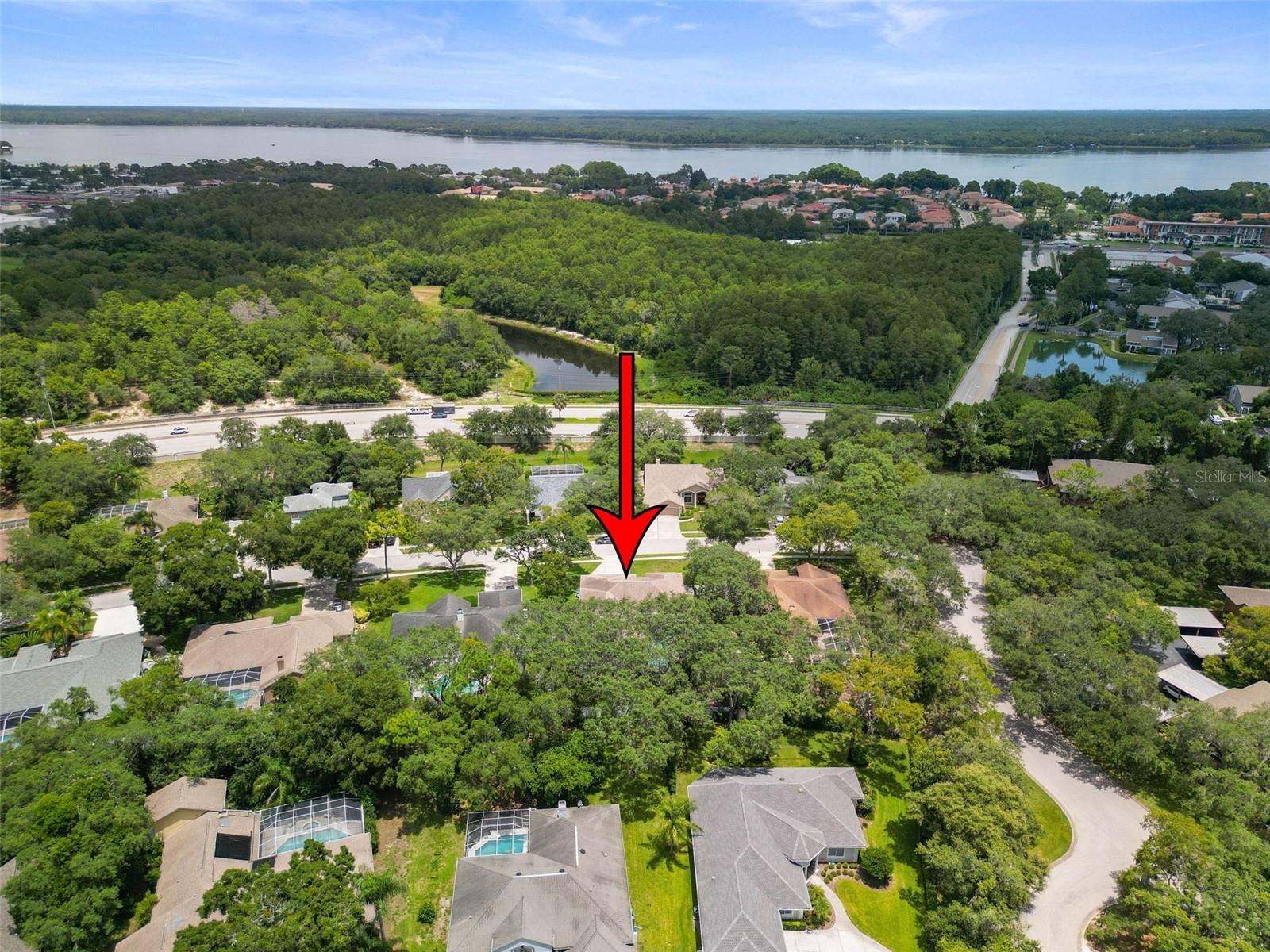 4448 Glenbrook, Palm Harbor, FL 34683