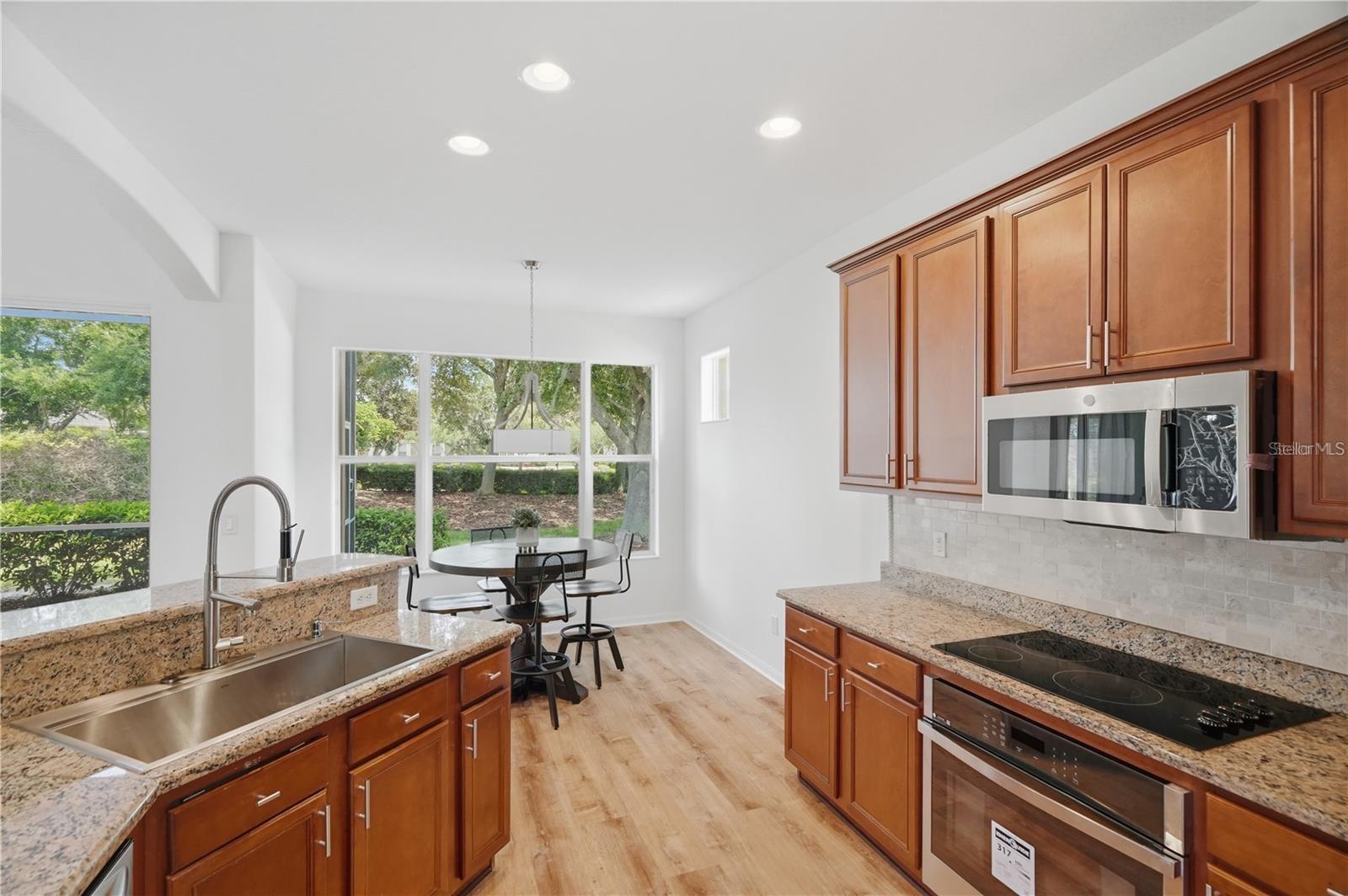 27325 Mistflower, Wesley Chapel, FL 33544