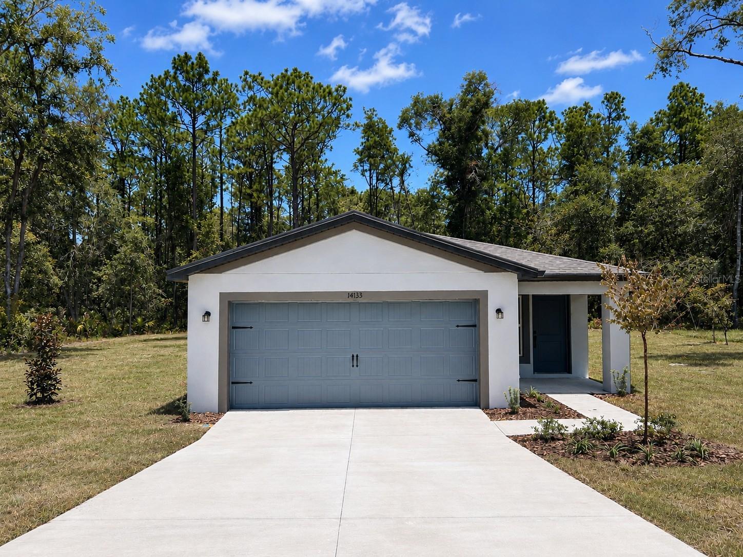 14133 Canada Goose, Weeki Wachee, FL 34614