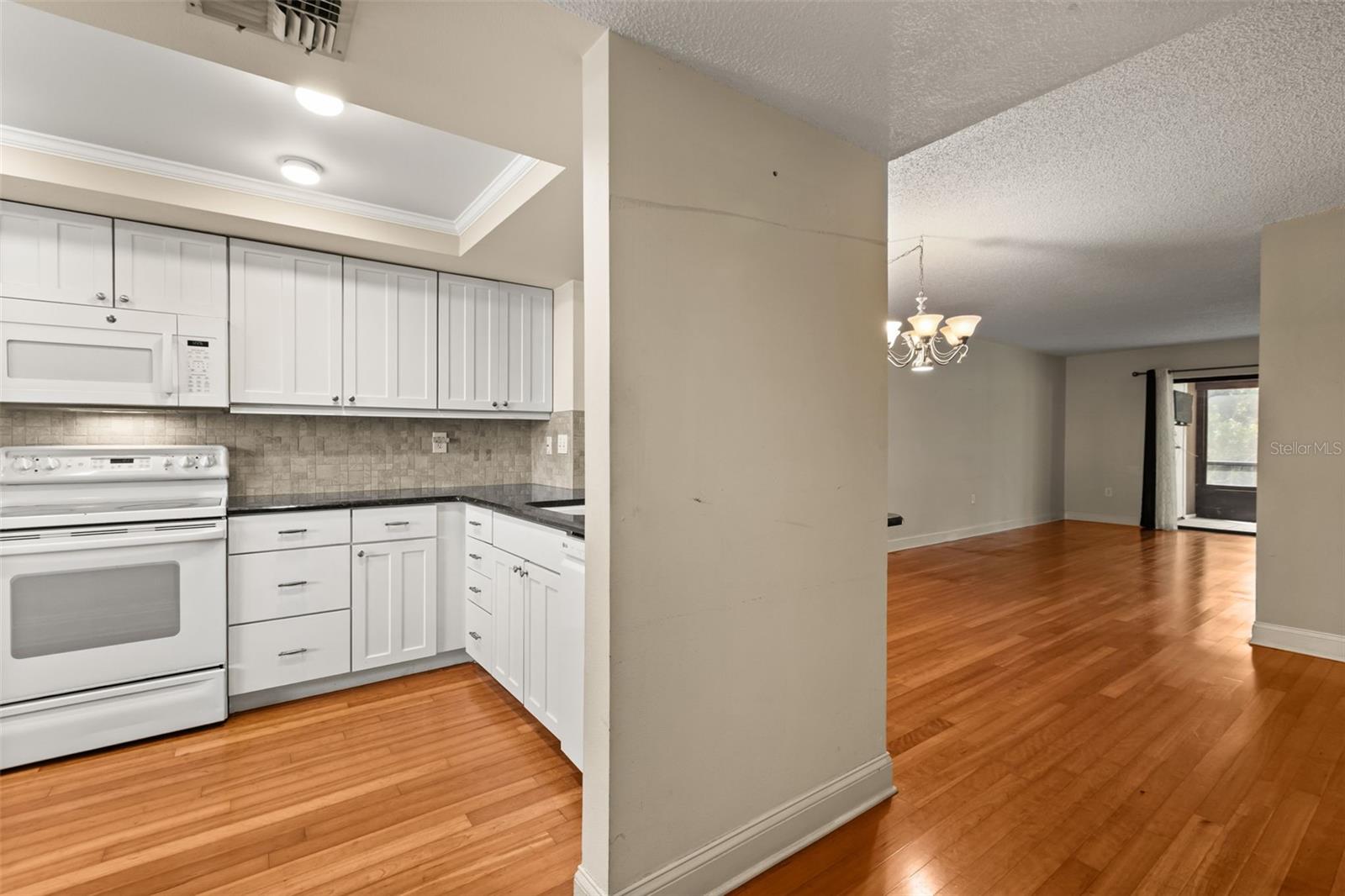 4101 Fairview Vista Unit 229, Orlando, FL 32804