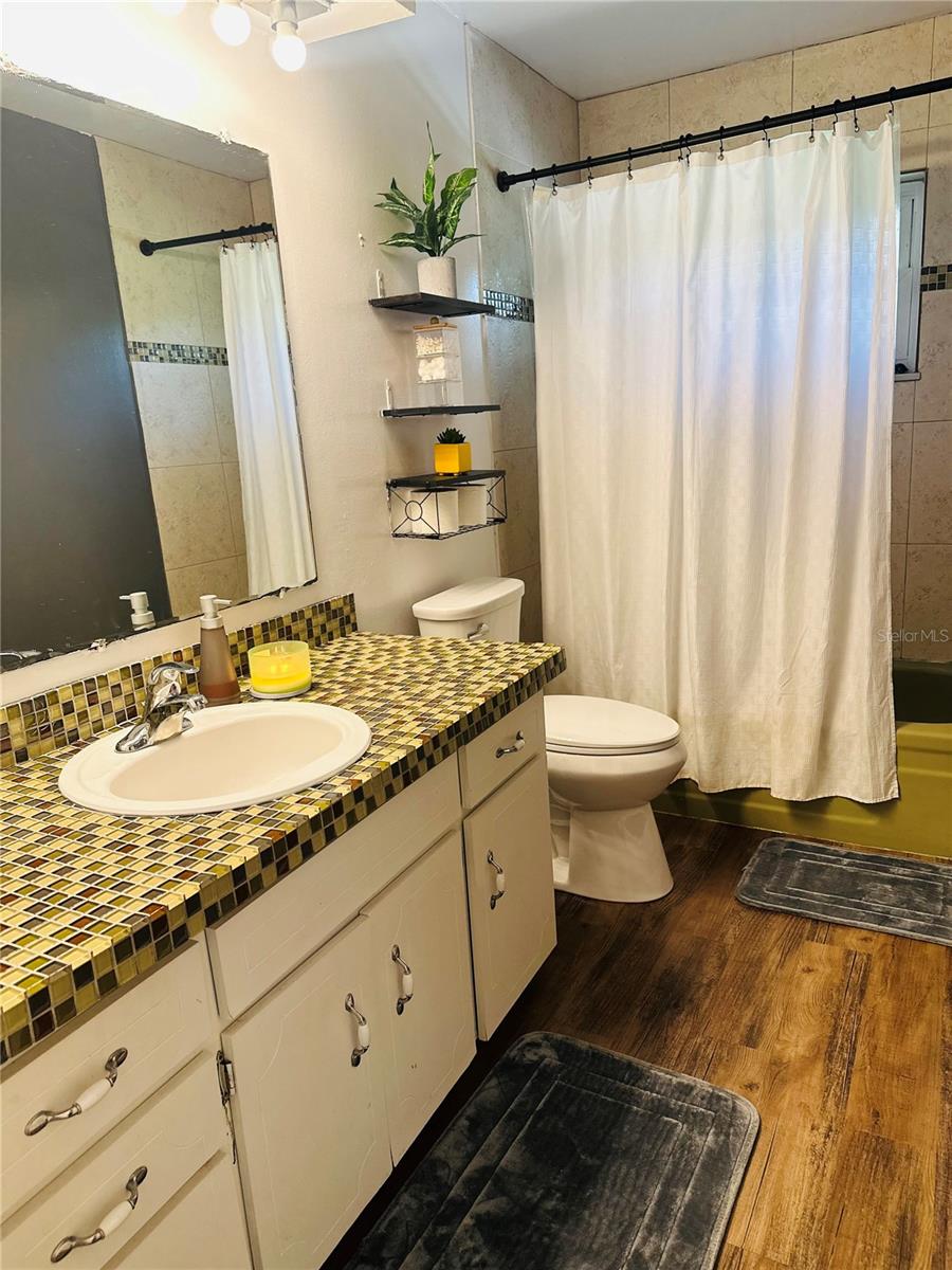 31109 Deal, Mount Plymouth, FL 32776