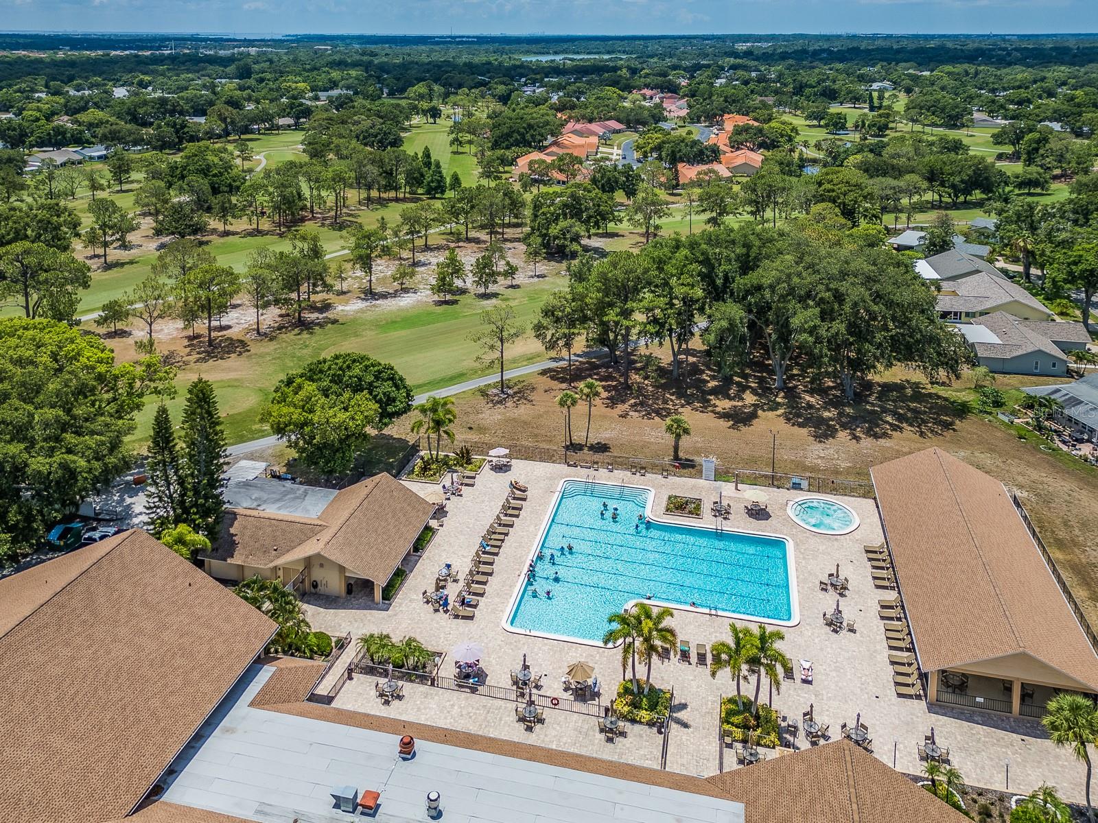 3253 Mcmath, Palm Harbor, FL 34684