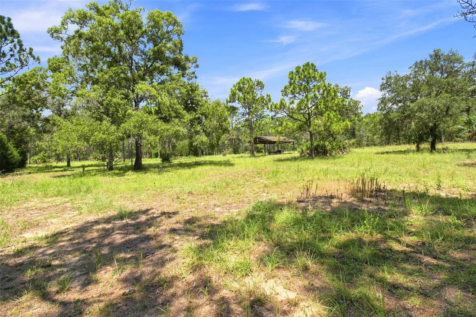 8279 Sunshine Grove, Brooksville, FL 34613