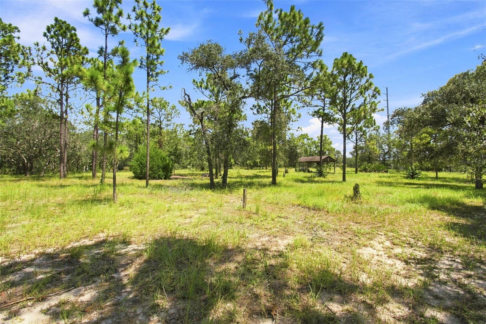 8279 Sunshine Grove, Brooksville, FL 34613