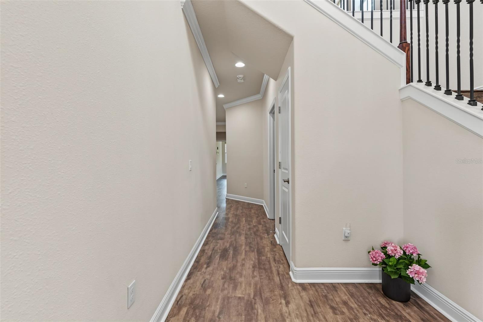 14507 Rocky Brook, Tampa, FL 33625