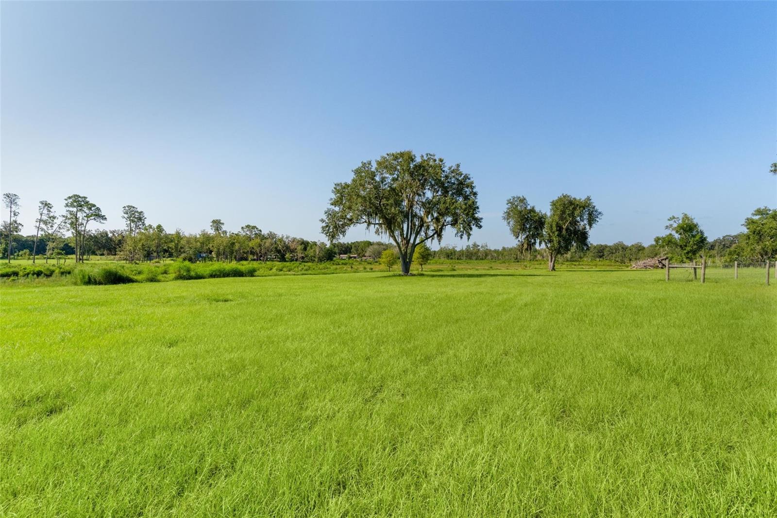 16215 Douglas, Groveland, FL 34736