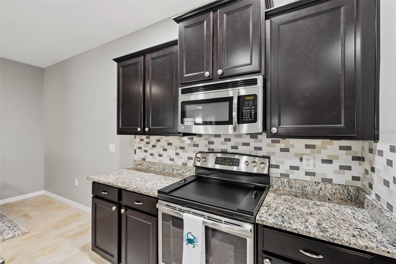 33067 Windelstraw, Wesley Chapel, FL 33545