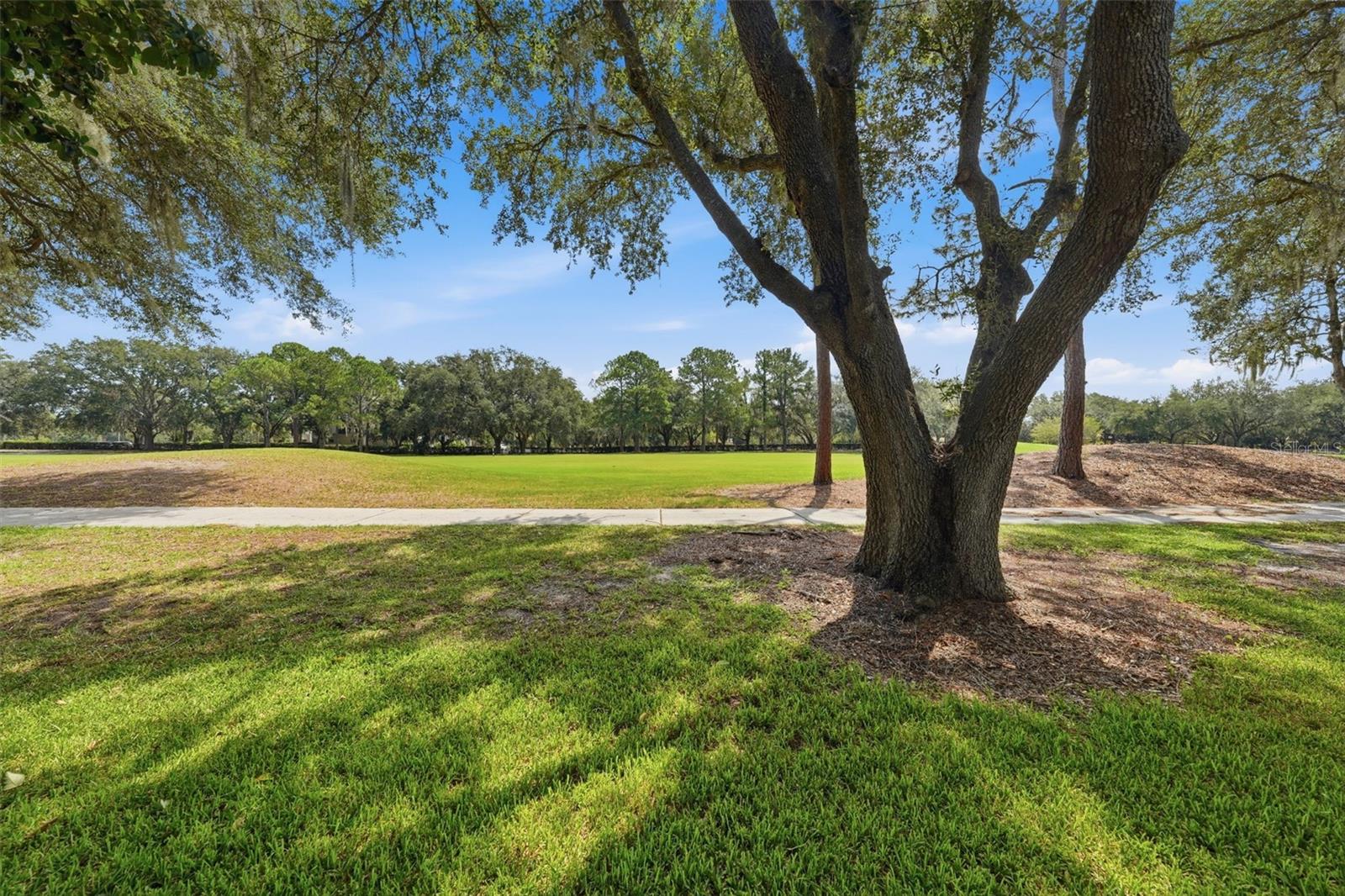 1209 Barcelona, The Villages, FL 32159
