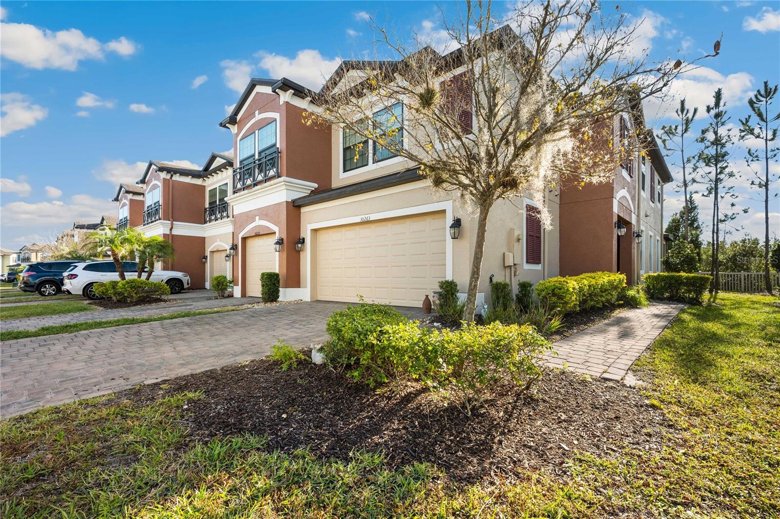 30263 Southwell, Wesley Chapel, FL 33543