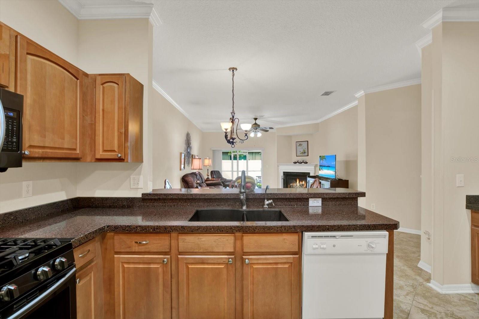 19343 Haskell, Land O Lakes, FL 34638