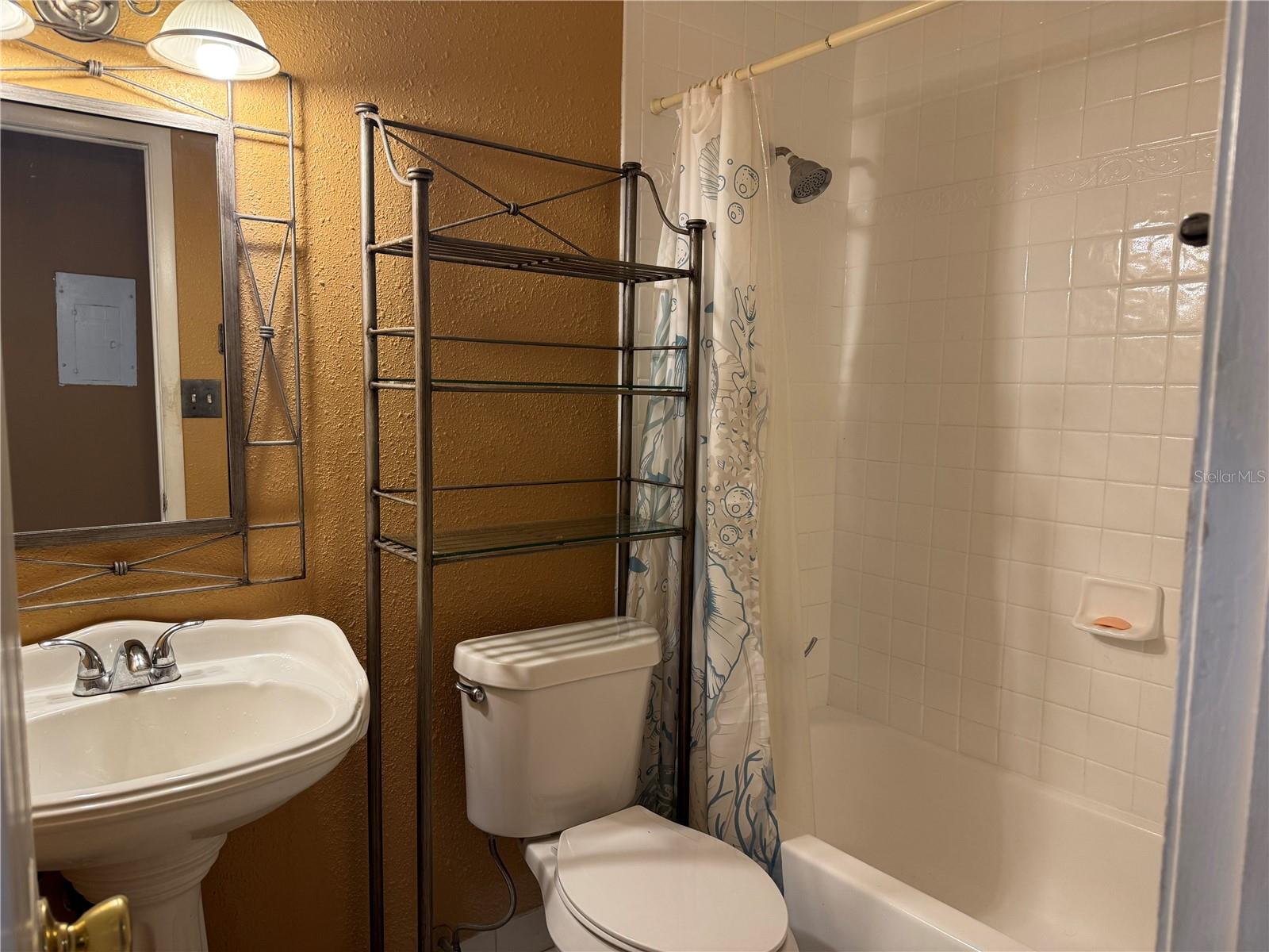 8542 10th Unit C, St Petersburg, FL 33702
