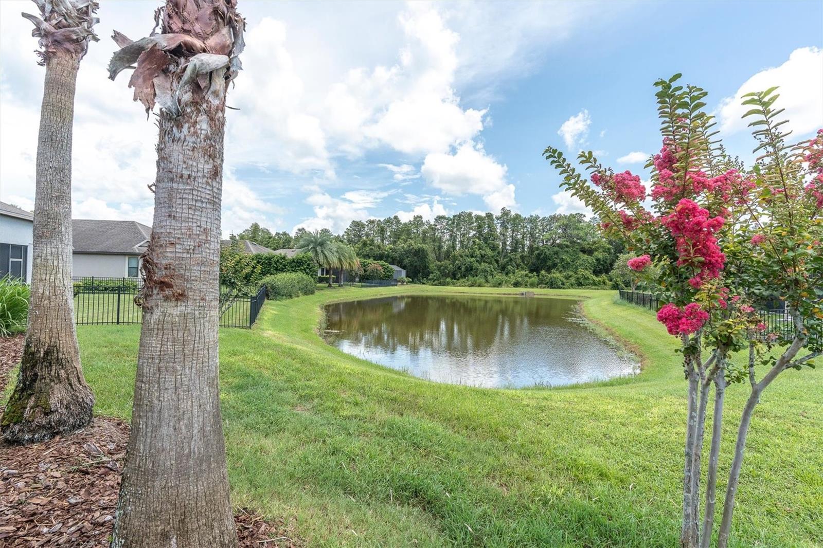 8454 May Port, Land O Lakes, FL 34638
