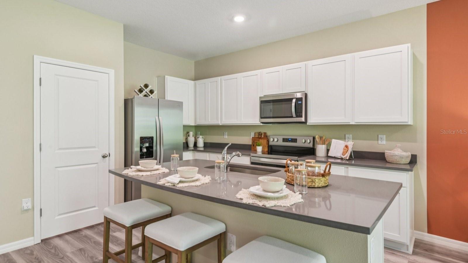 17330 Spanish Oak, Land O Lakes, FL 34638