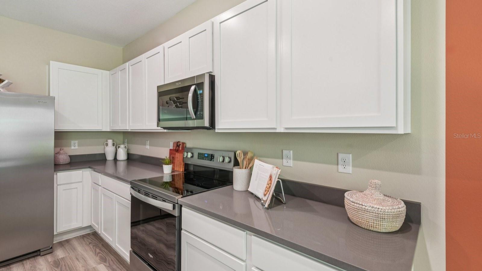 17330 Spanish Oak, Land O Lakes, FL 34638
