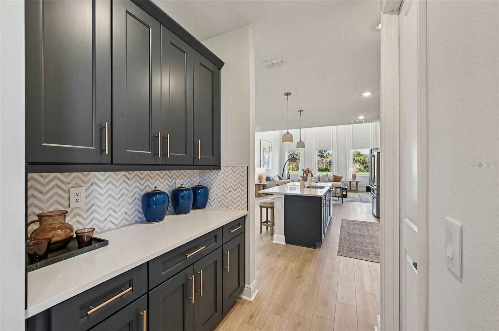5977 Fresh Flora Drive, Wimauma, FL 33598