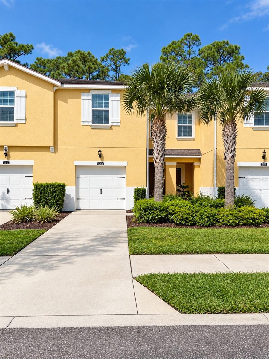 17874 Althea Blue, Lutz, FL 33558