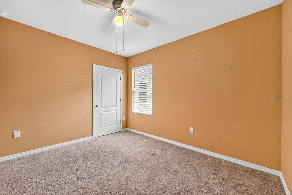 3118 Borassus, New Smyrna Beach, FL 32168