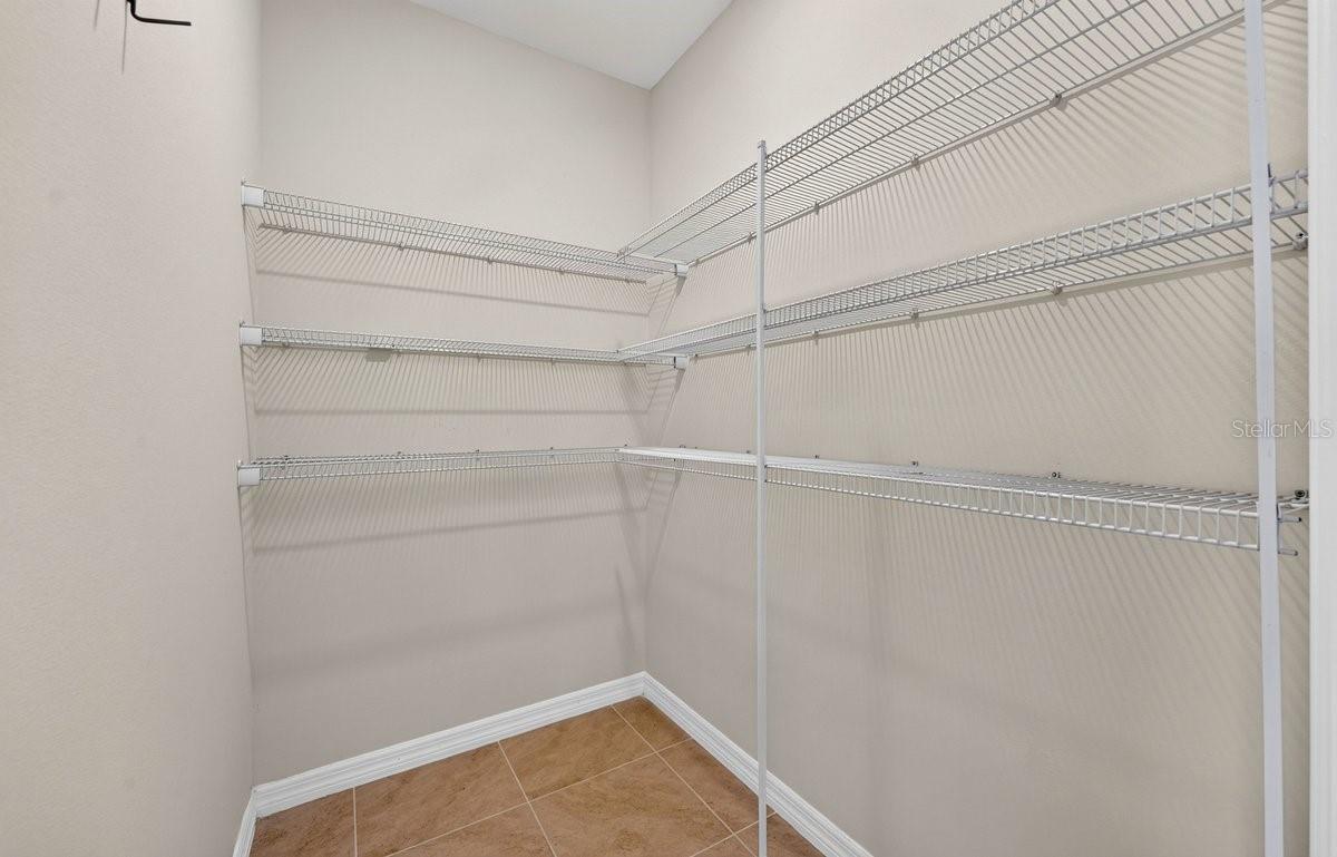 3118 Borassus, New Smyrna Beach, FL 32168