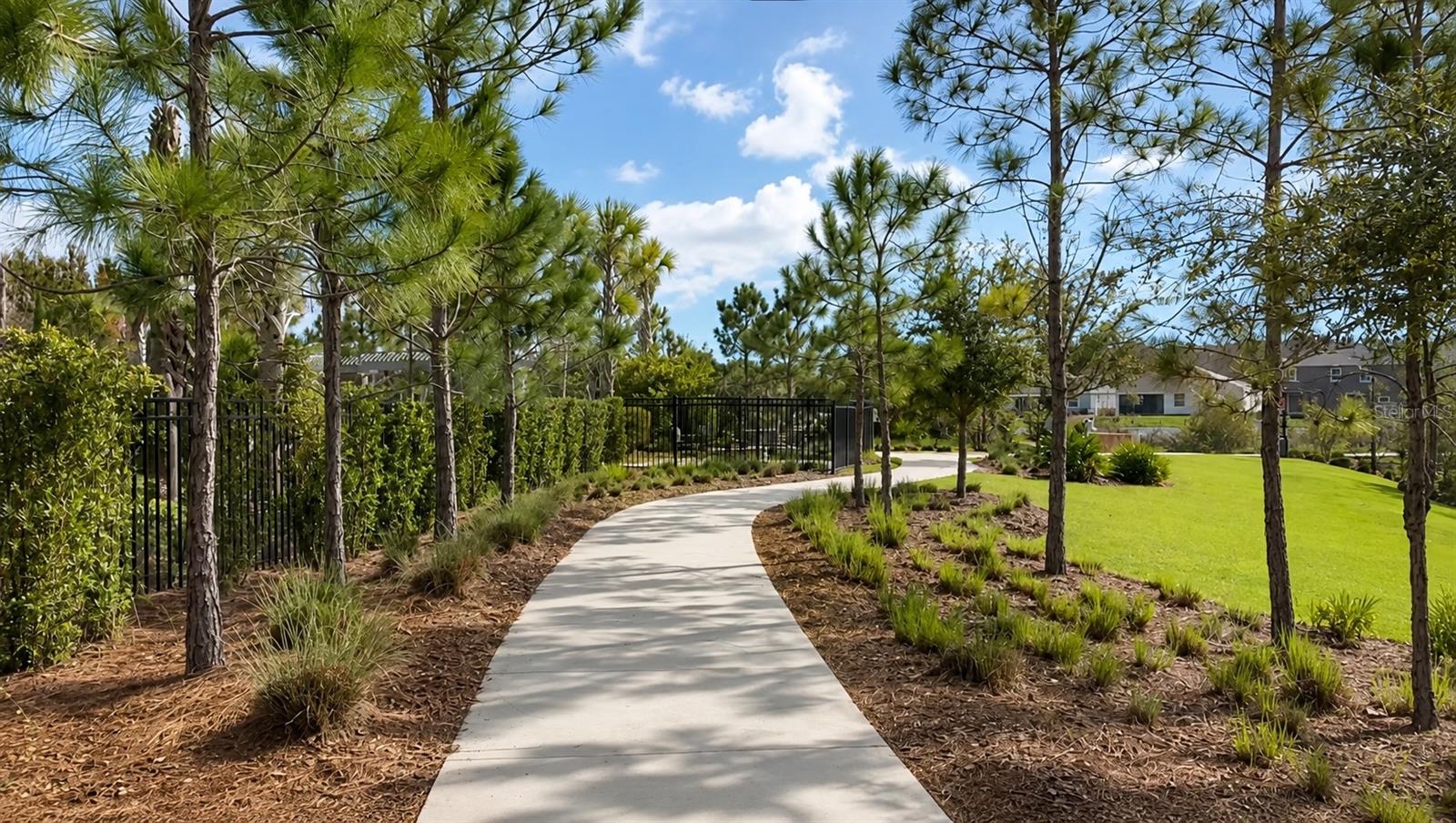 1652 Hubbell, Wesley Chapel, FL 33543