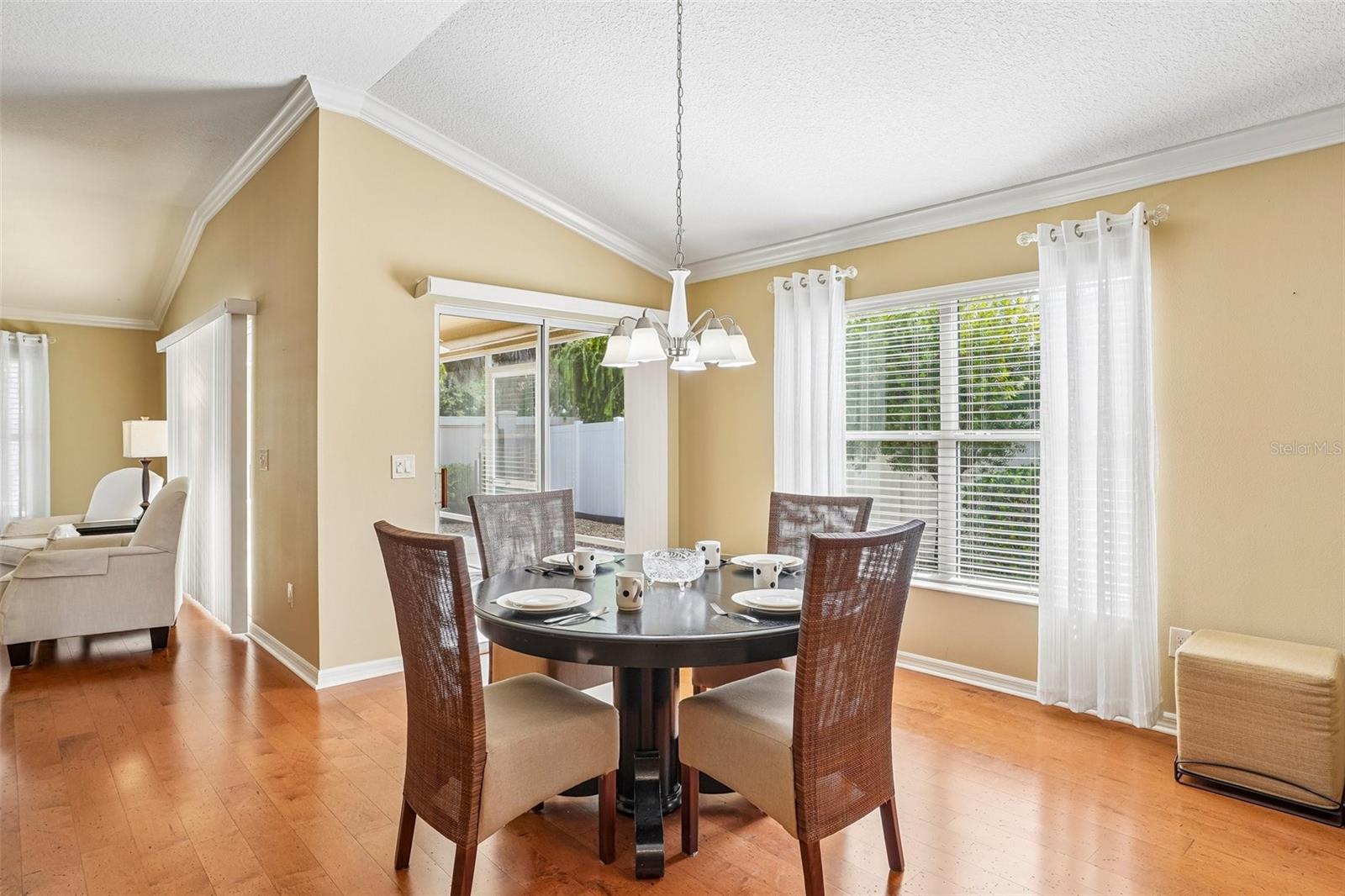 583 Arteaga, The Villages, FL 32162