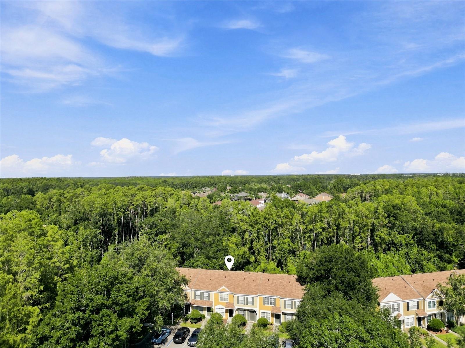 1339 Costa Mesa, Wesley Chapel, FL 33543
