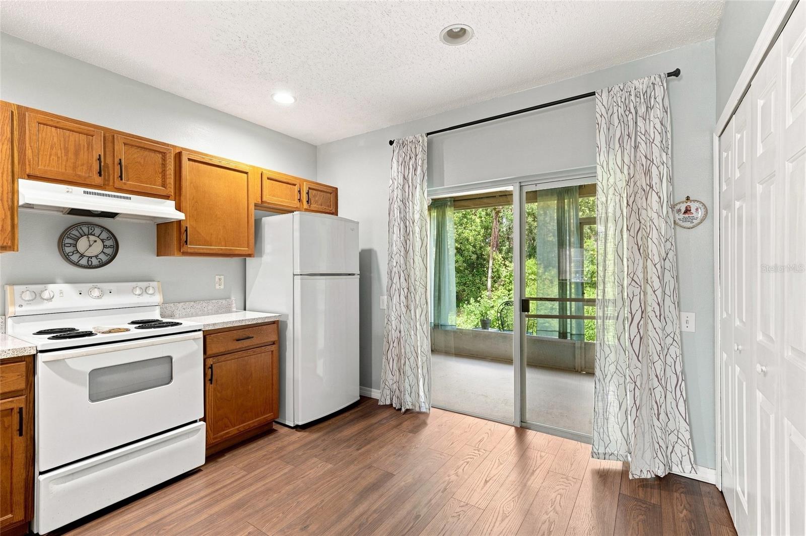 1339 Costa Mesa, Wesley Chapel, FL 33543