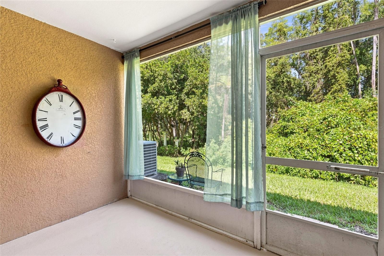 1339 Costa Mesa, Wesley Chapel, FL 33543