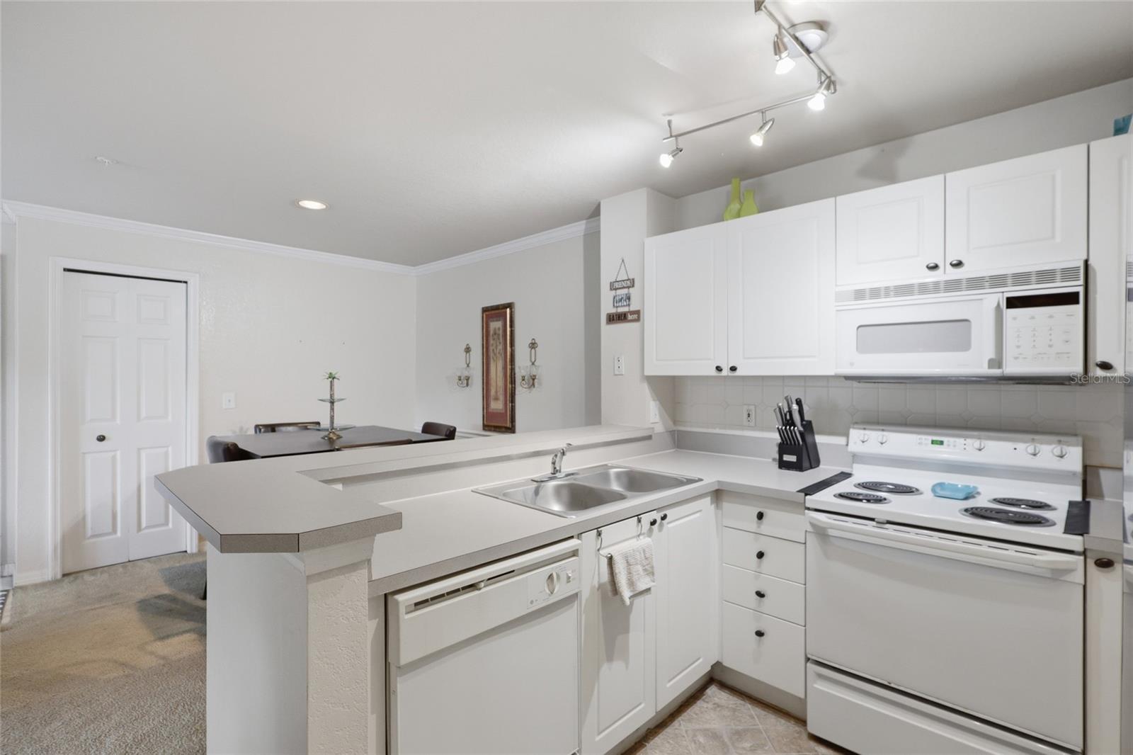 4201 Woodstorks Walk Unit 3210, Lutz, FL 33558