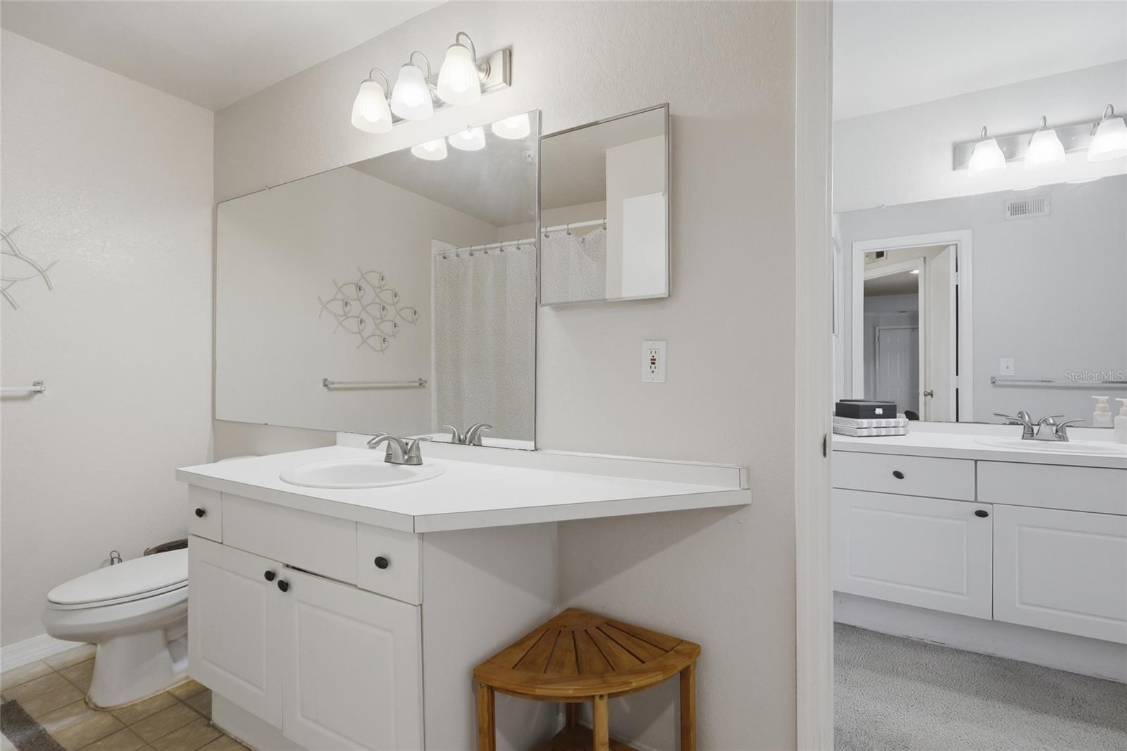 4201 Woodstorks Walk Unit 3210, Lutz, FL 33558