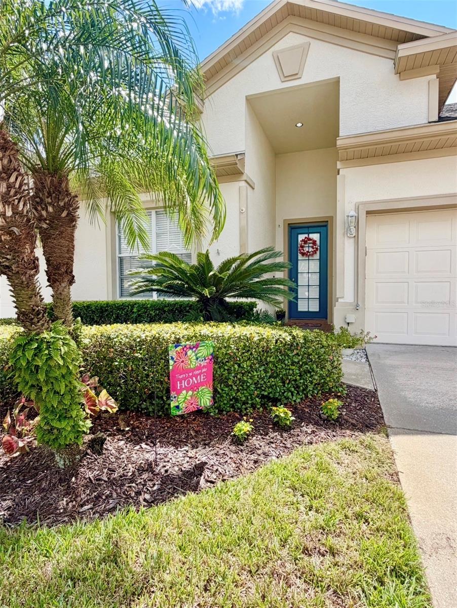 1326 Big Pine, Valrico, FL 33596