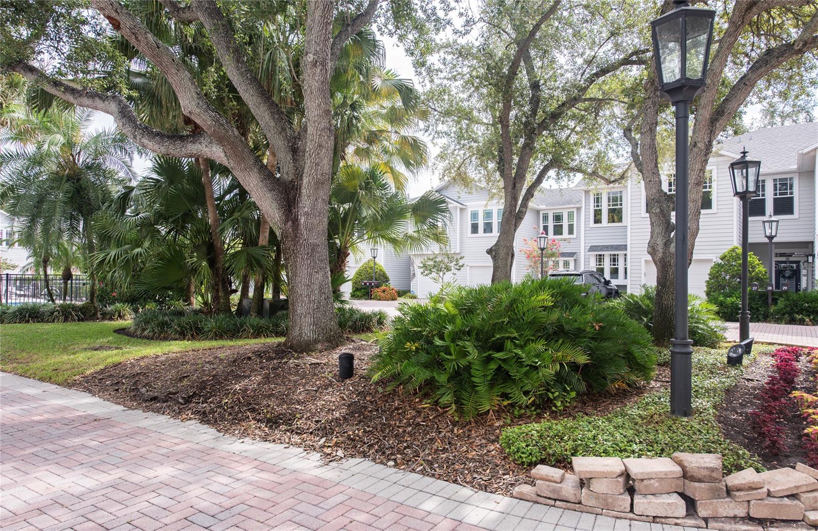 2311 Morrison Unit 26, Tampa, FL 33629