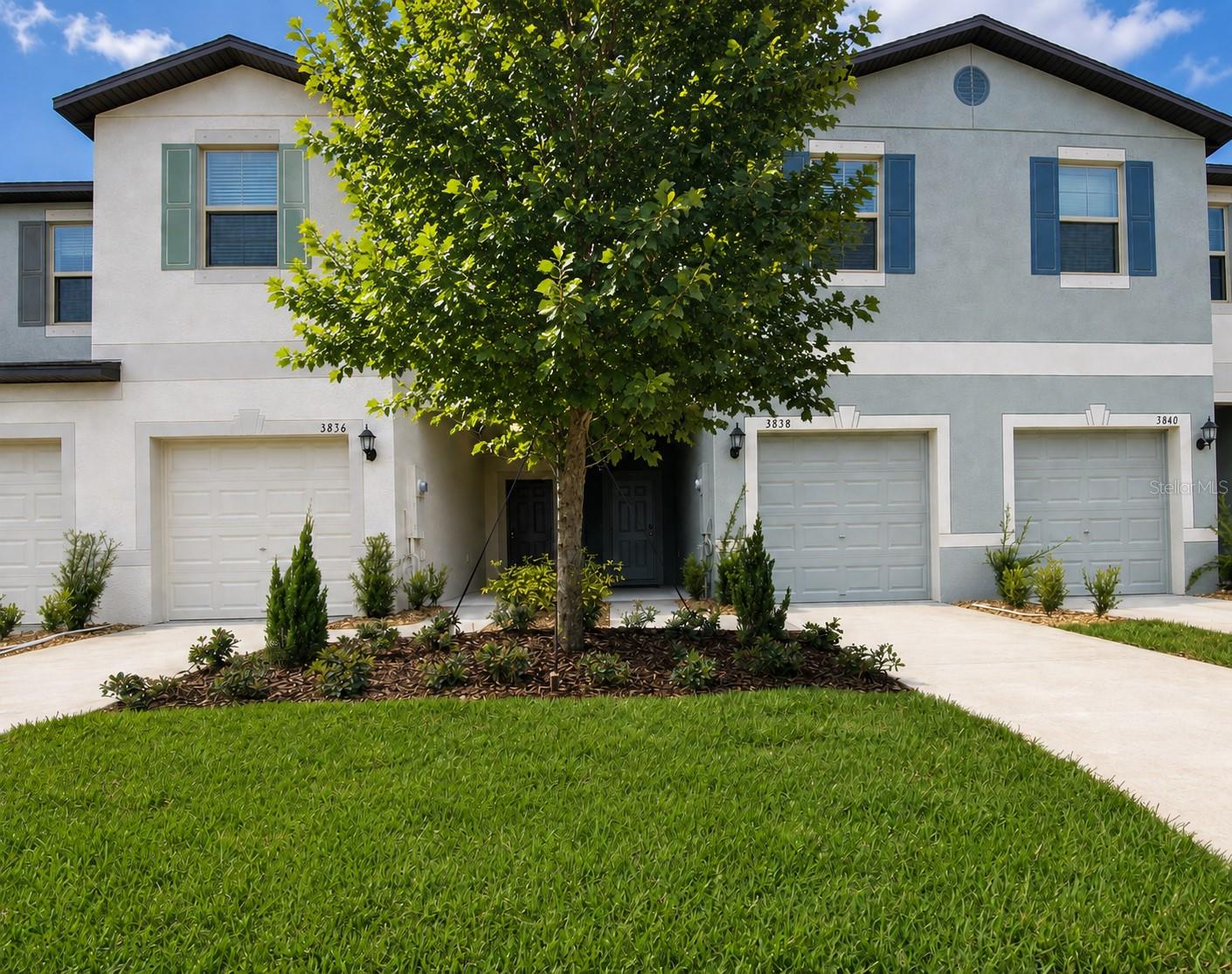 3838 Cat Mint, Tampa, FL 33619