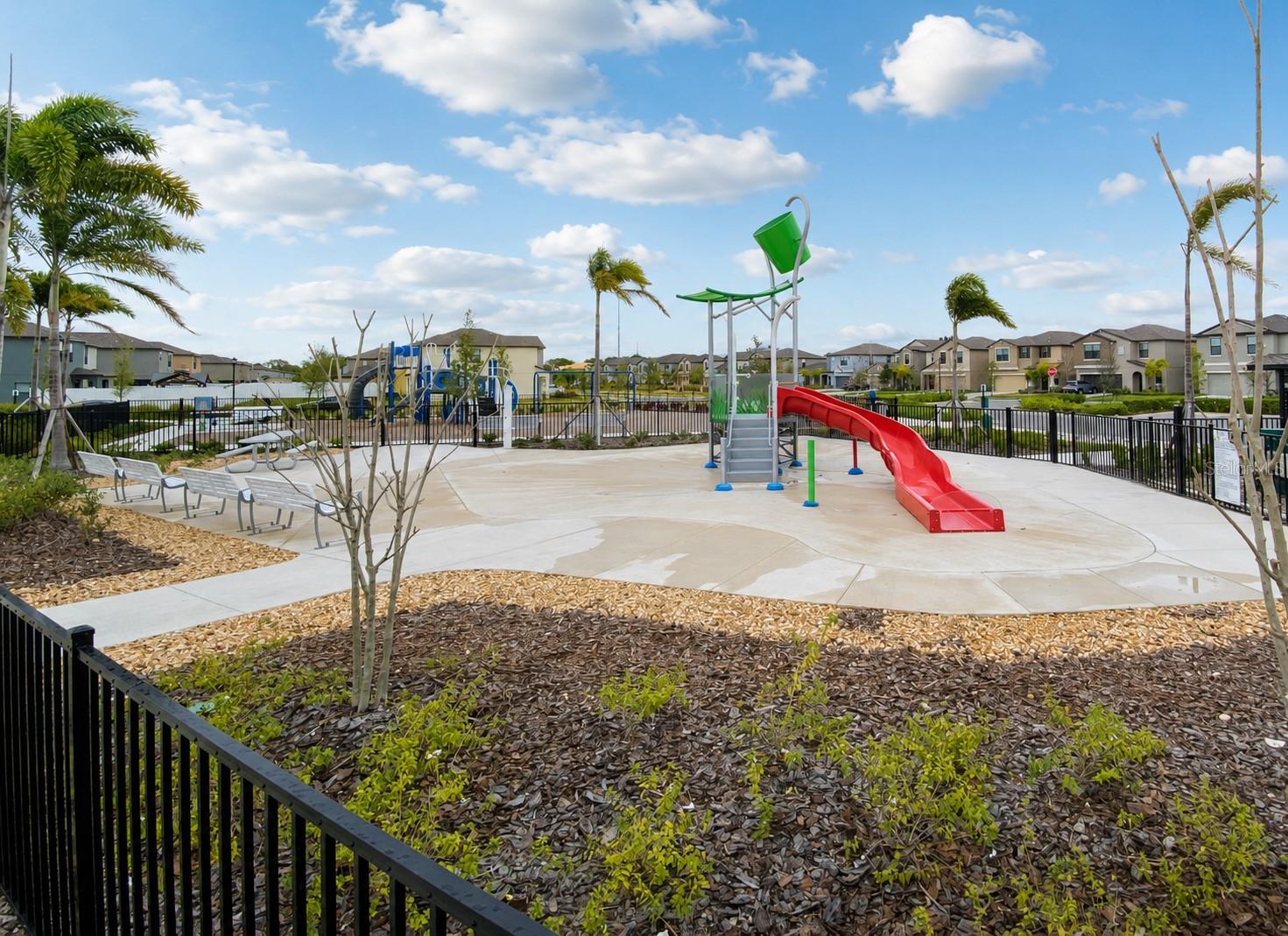 3838 Cat Mint, Tampa, FL 33619
