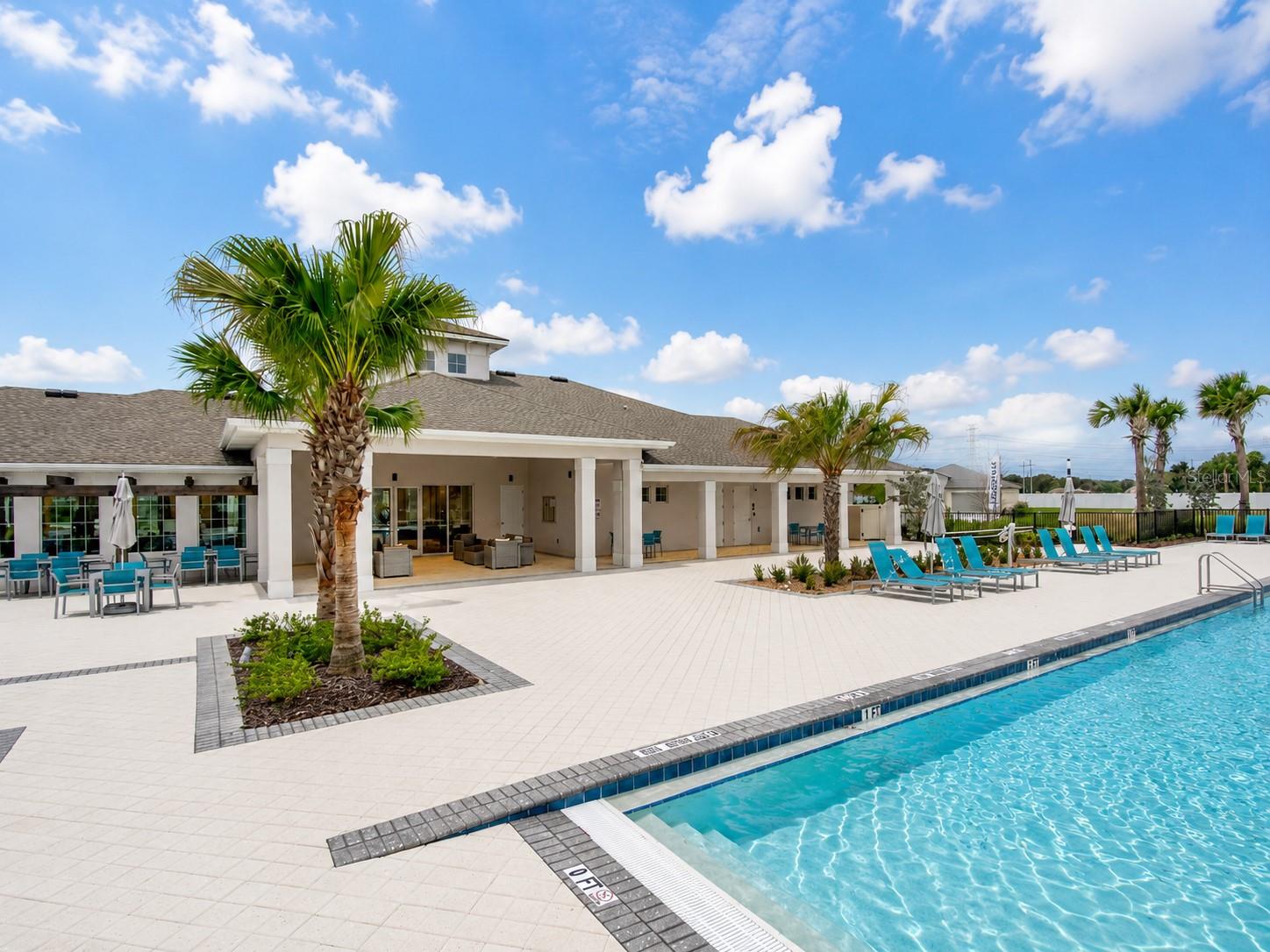 3838 Cat Mint, Tampa, FL 33619