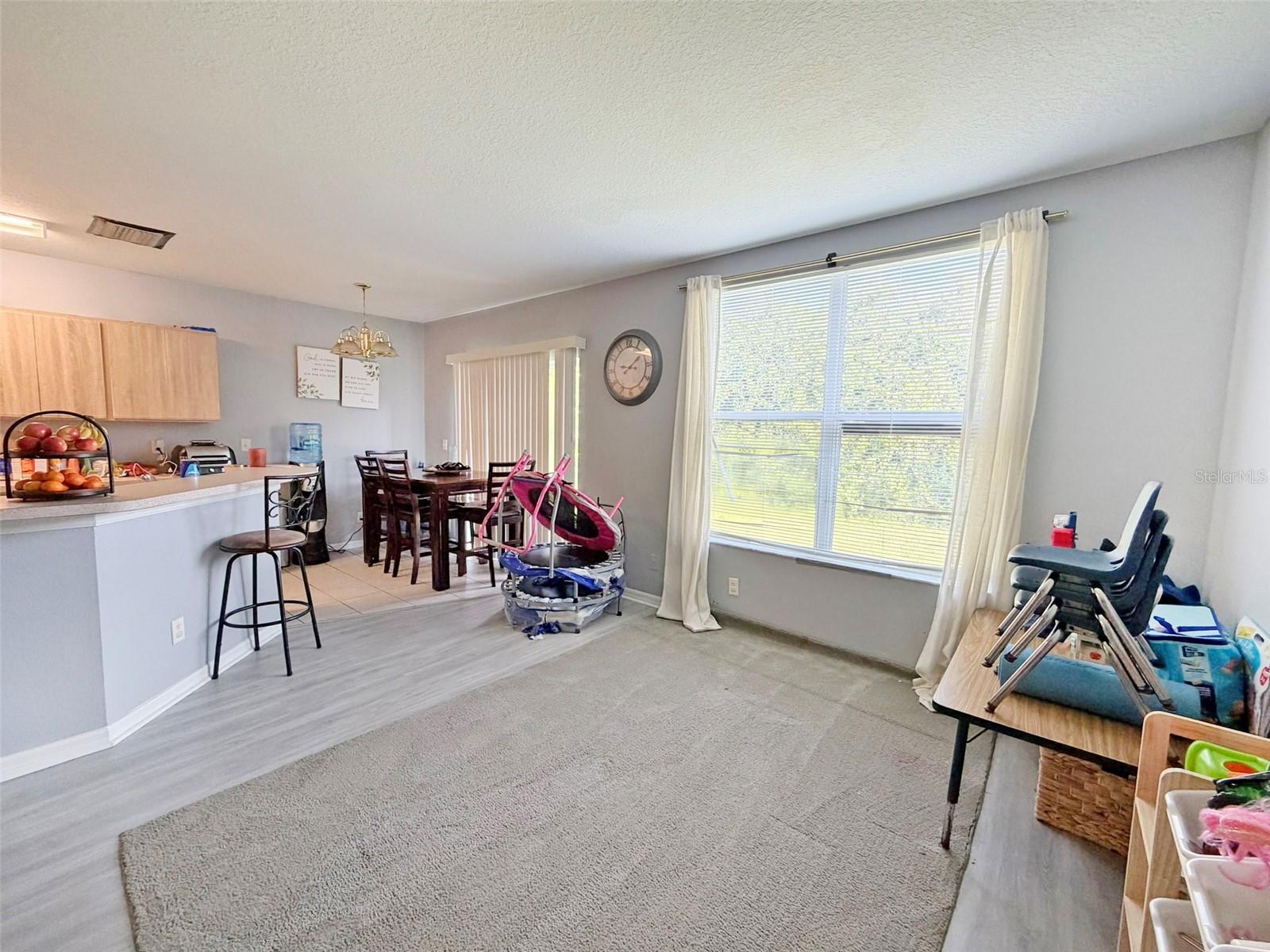 6225 Olivedale, Riverview, FL 33578