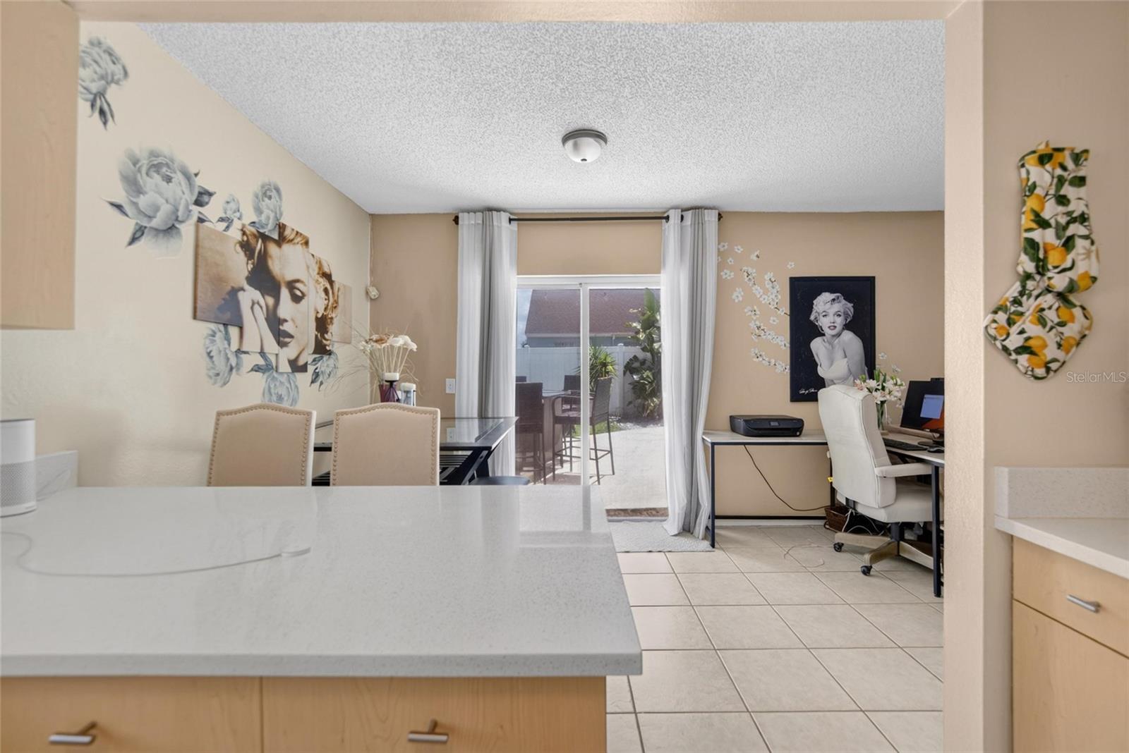 9063 Dixiana Villa, Tampa, FL 33635