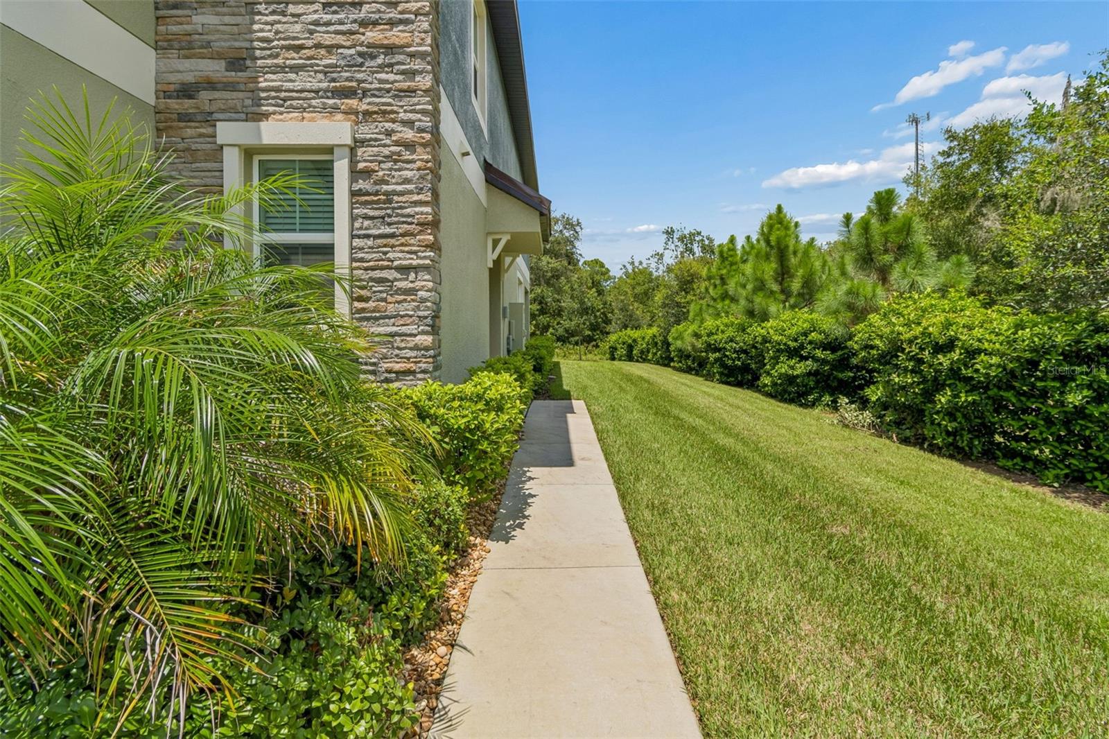 11166 Wishing Cloud, Land O Lakes, FL 34638
