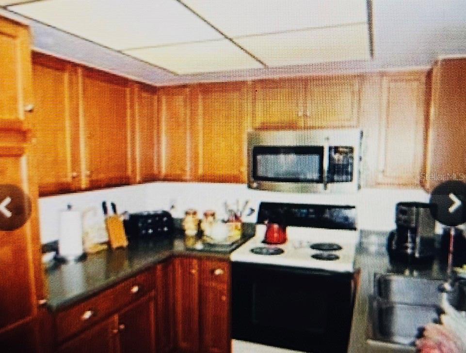 282 Seal, Kissimmee, FL 34743