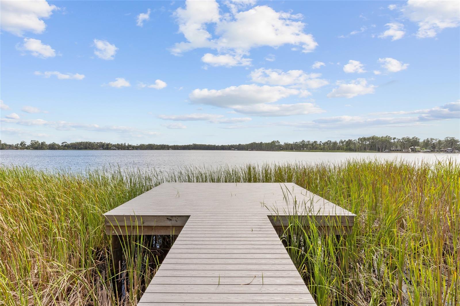 6140 Shiner, Land O Lakes, FL 34638