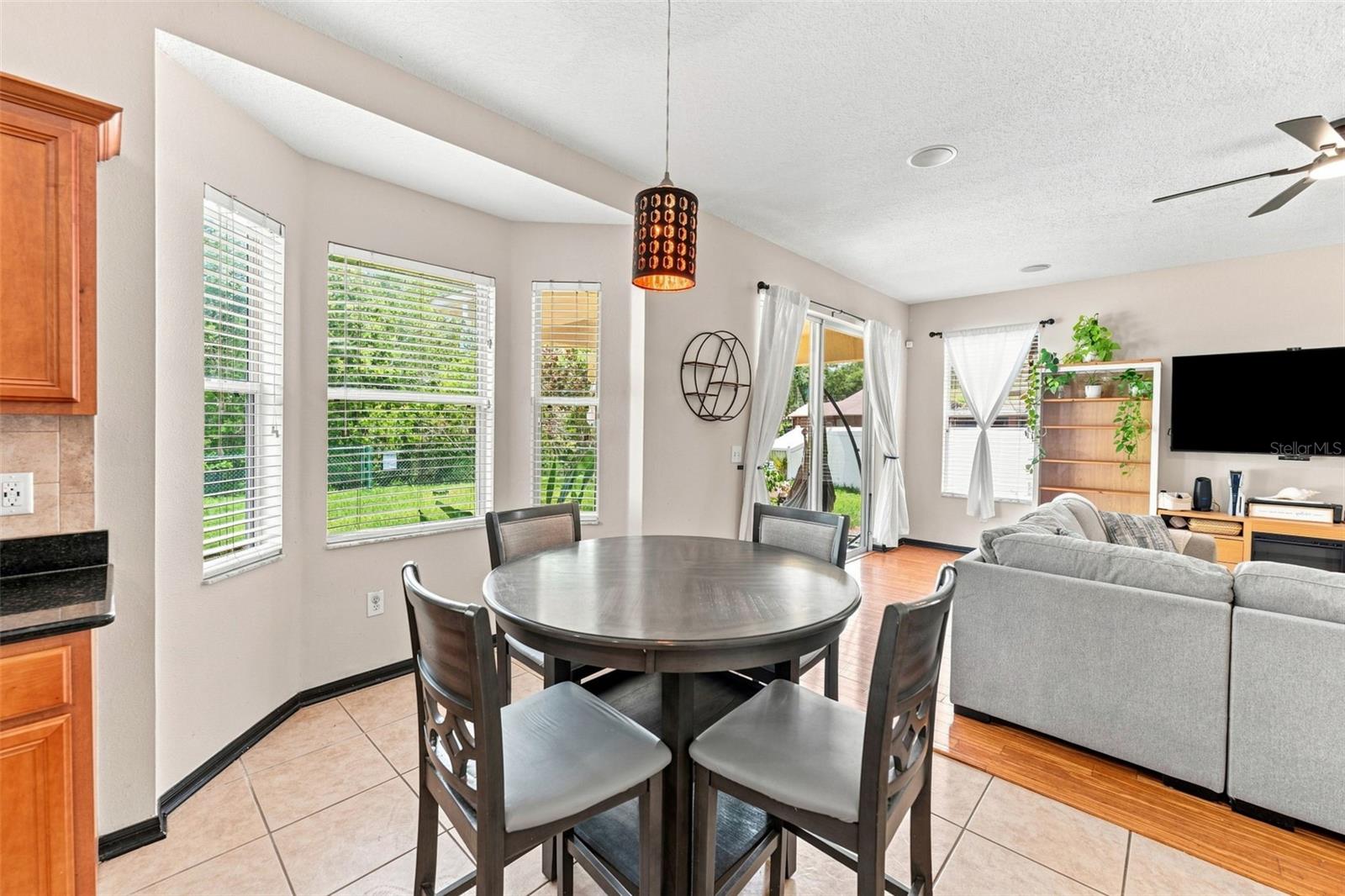15731 Cedar Elm, Land O Lakes, FL 34638