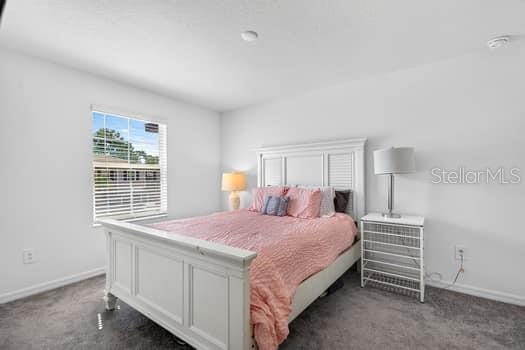 6119 Shiner, Land O Lakes, FL 34638