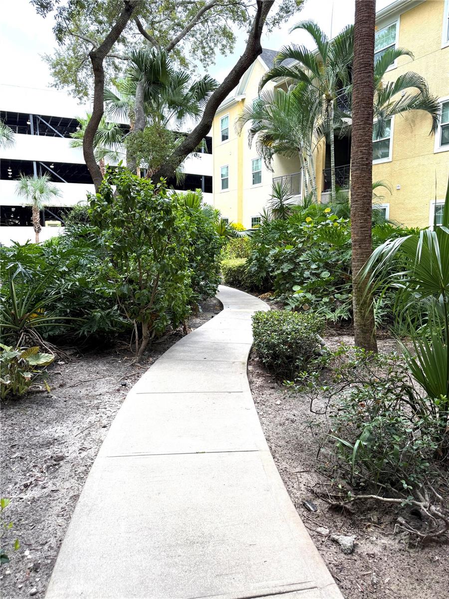 1810 Palm Unit 5119, Tampa, FL 33605