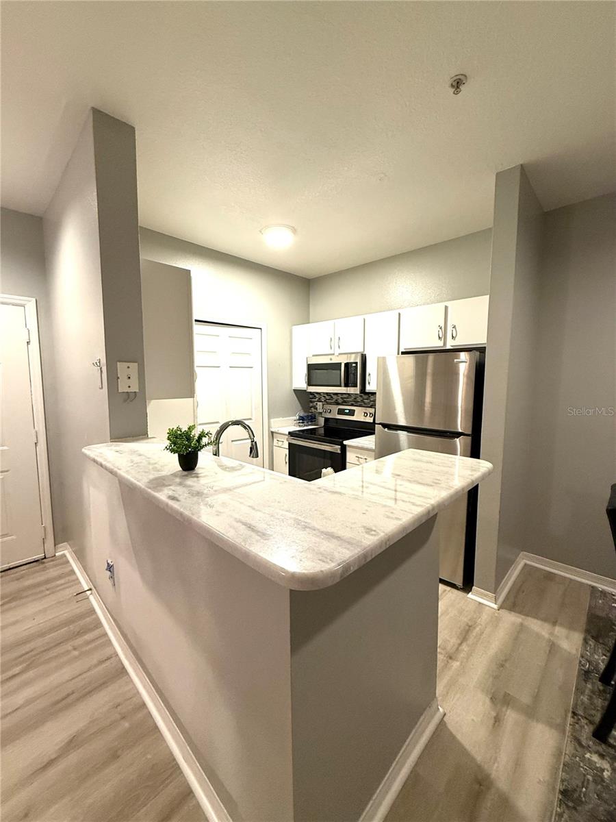 1810 Palm Unit 5119, Tampa, FL 33605
