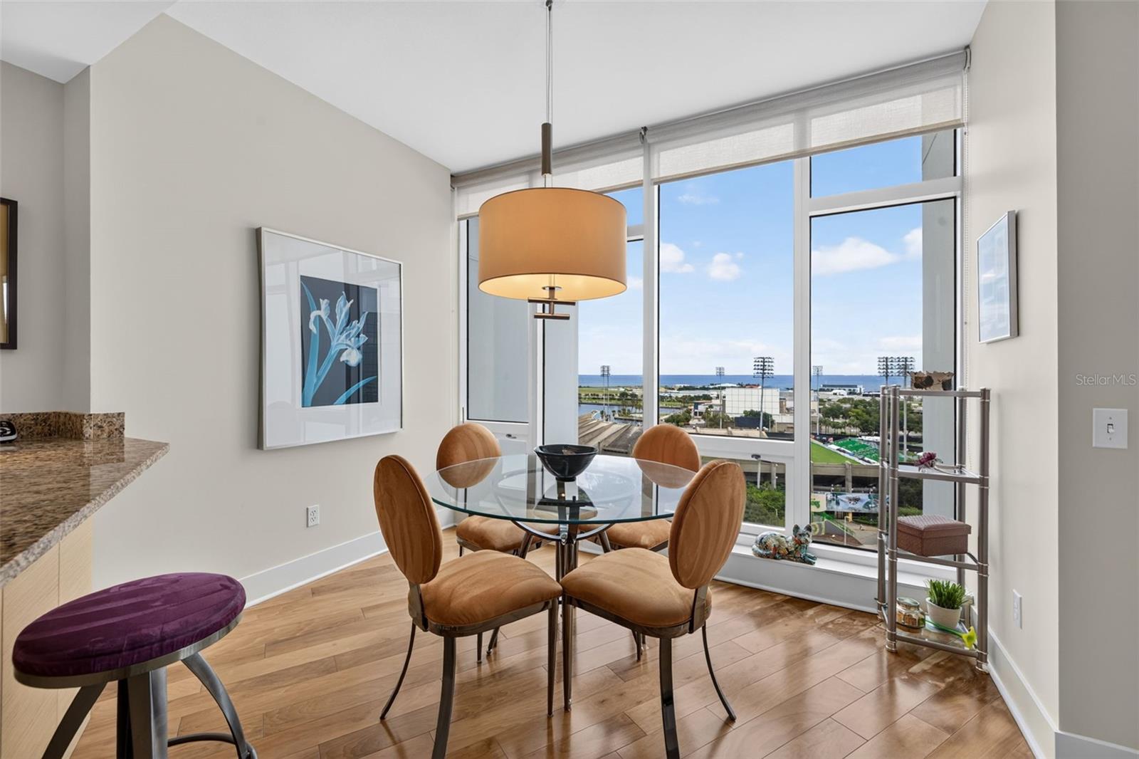 175 1st Street South Unit 1106, St Petersburg, FL 33701