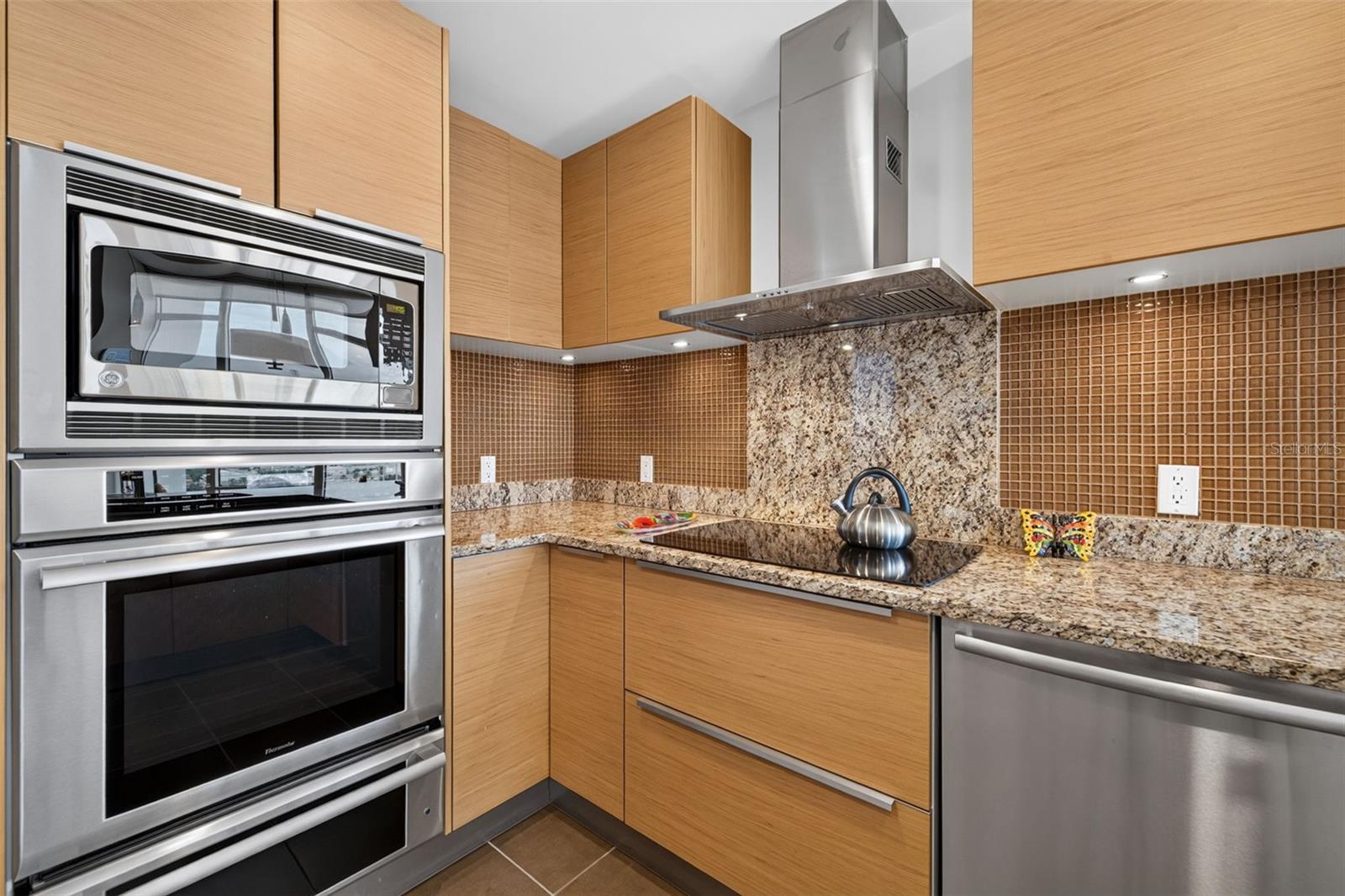 175 1st Street South Unit 1106, St Petersburg, FL 33701