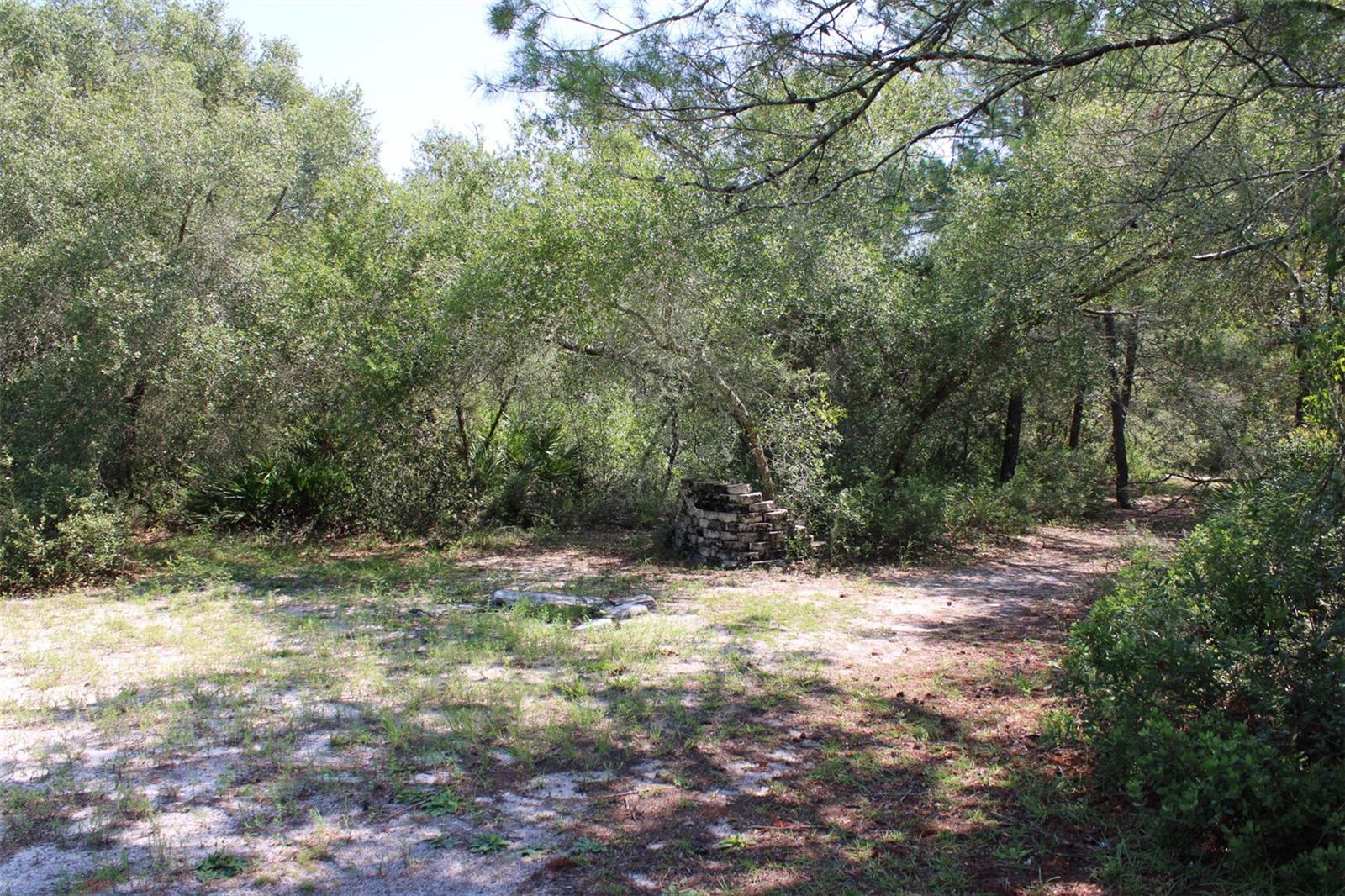 15764 235th, Fort Mc Coy, FL 32134