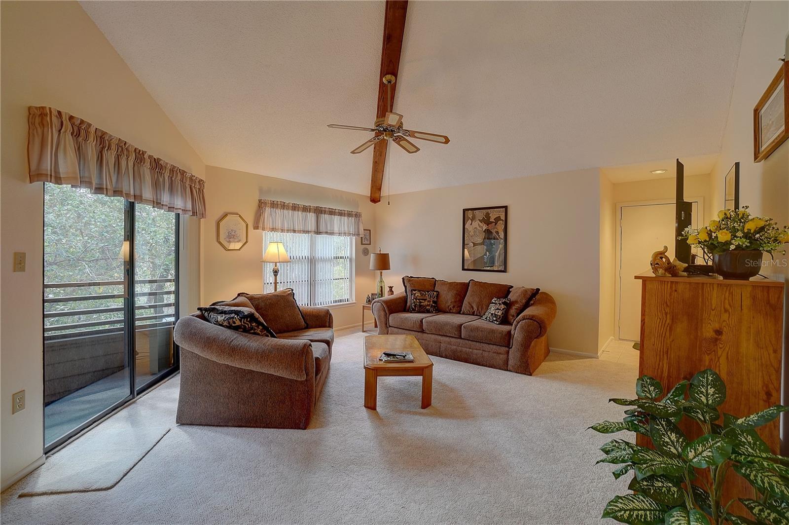 1106 Lennox, Palm Harbor, FL 34683